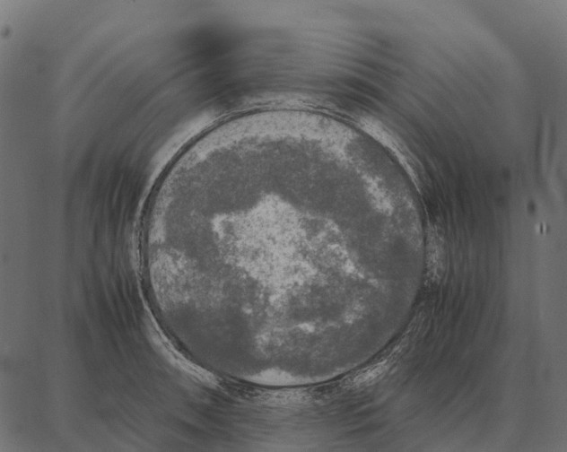 X0000087321090200705181005