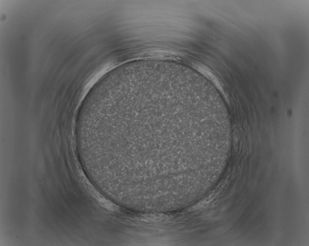 X0000087321091200705181005