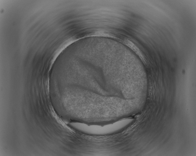 X0000087321092200705181005