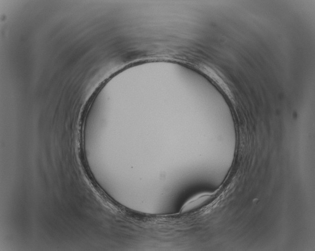 X0000087321093200705181005