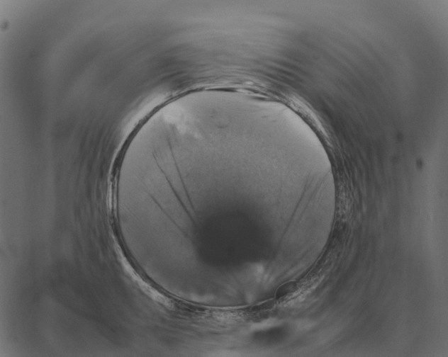 X0000087321095200705181005