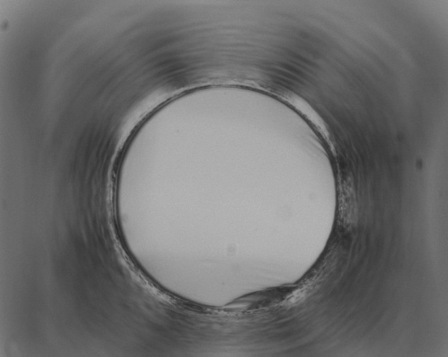 X0000087321096200705181005