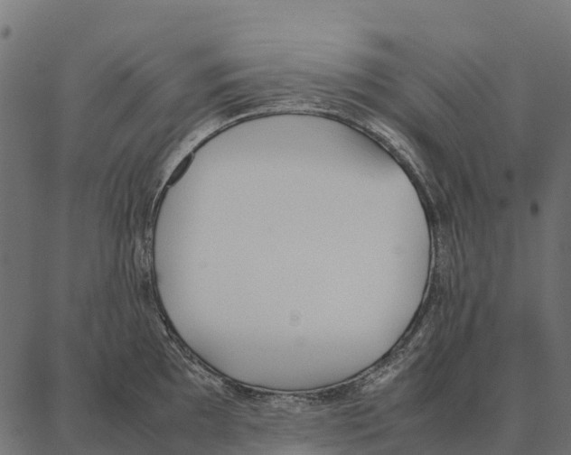 X0000087321097200705181005