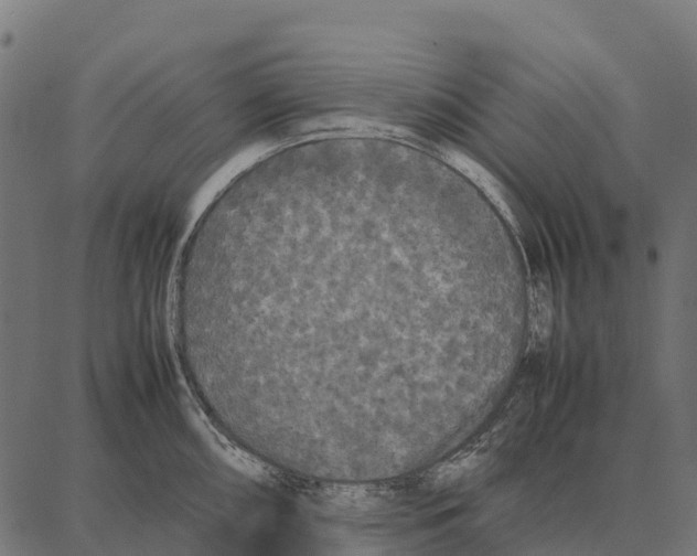 X0000087321098200705181005