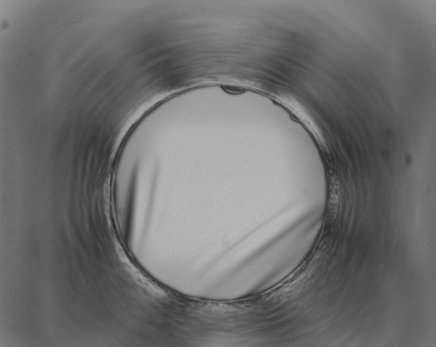 X0000087321100200705181005