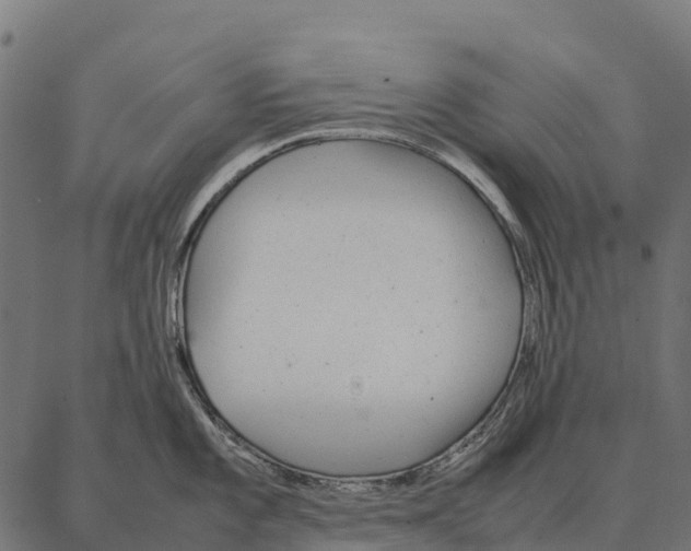 X0000087321101200705181005