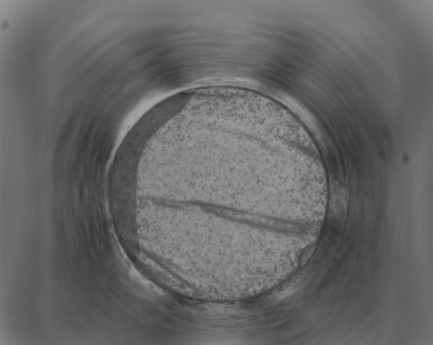 X0000087321102200705181005