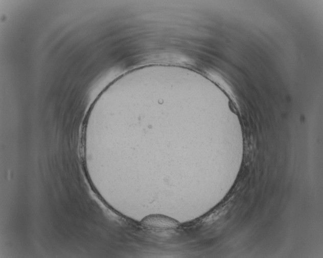 X0000087321103200705181005