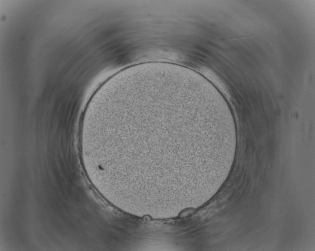 X0000087321104200705181005