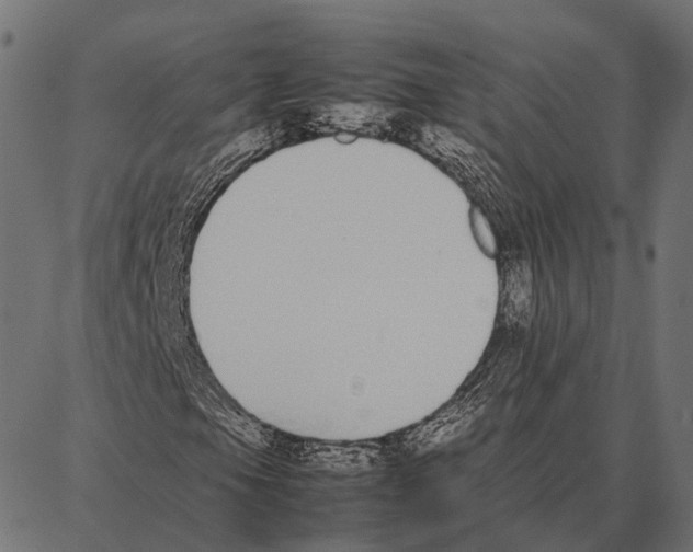 X0000087321105200705181004