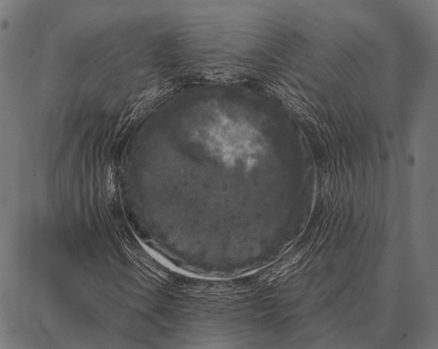 X0000087321106200705181004