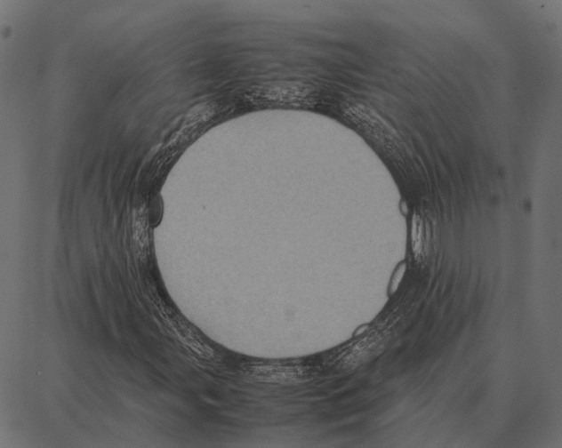 X0000087321107200705181004