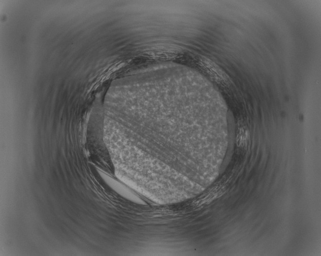 X0000087321108200705181004