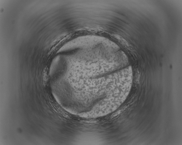 X0000087321110200705181004