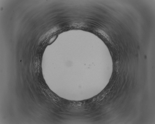 X0000087321111200705181004