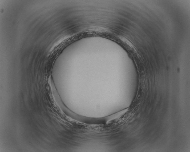 X0000087321112200705181004