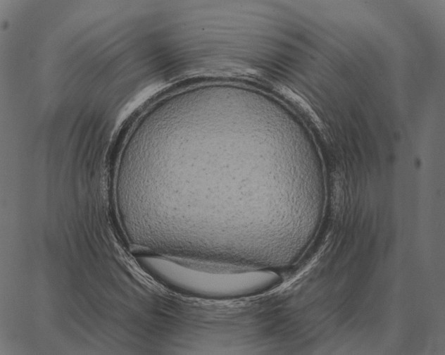 X0000087321114200705181004