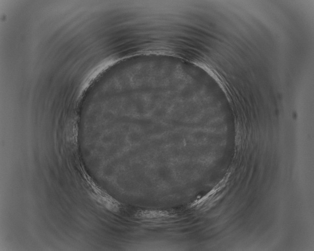 X0000087321115200705181004