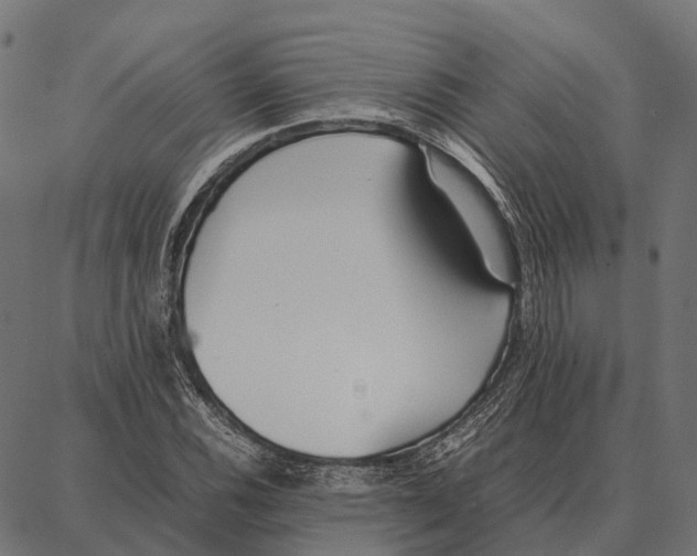 X0000087321116200705181004