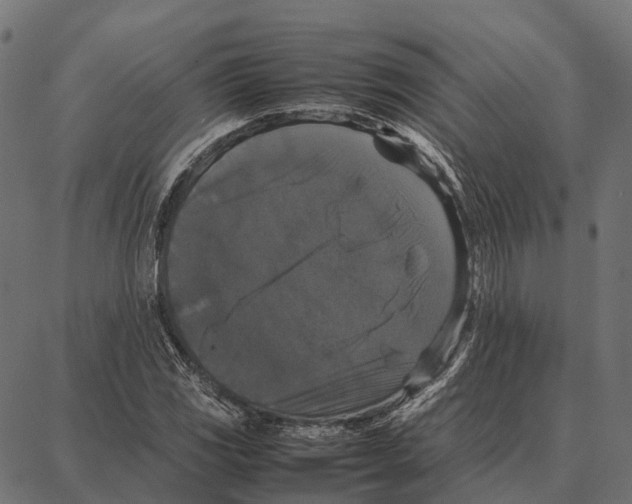 X0000087321117200705181004