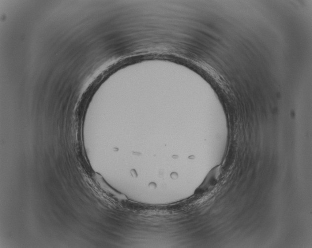 X0000087321118200705181004