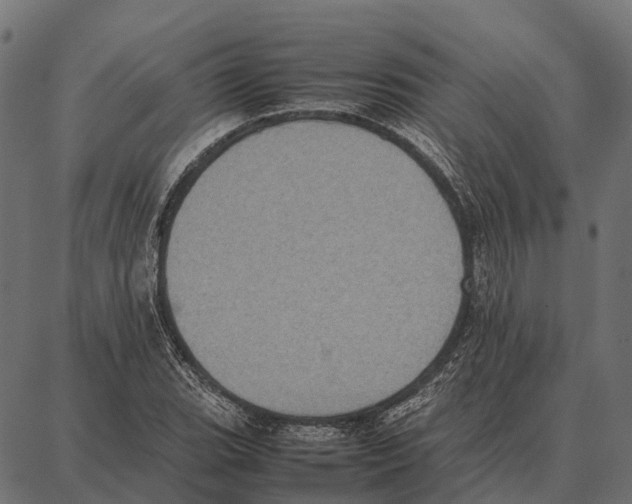 X0000087321119200705181004