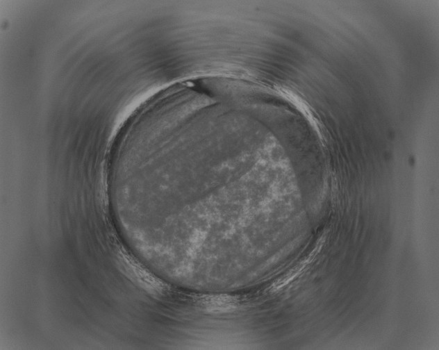 X0000087321120200705181004