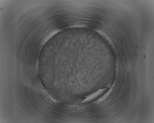 X0000087321121200705181004