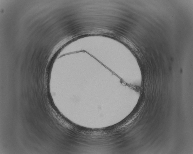 X0000087321122200705181004