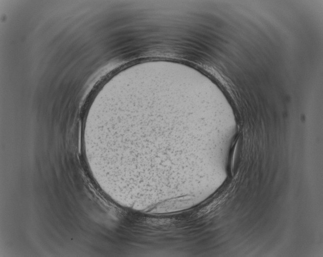 X0000087321123200705181004