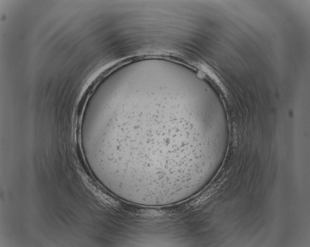 X0000087321124200705181004