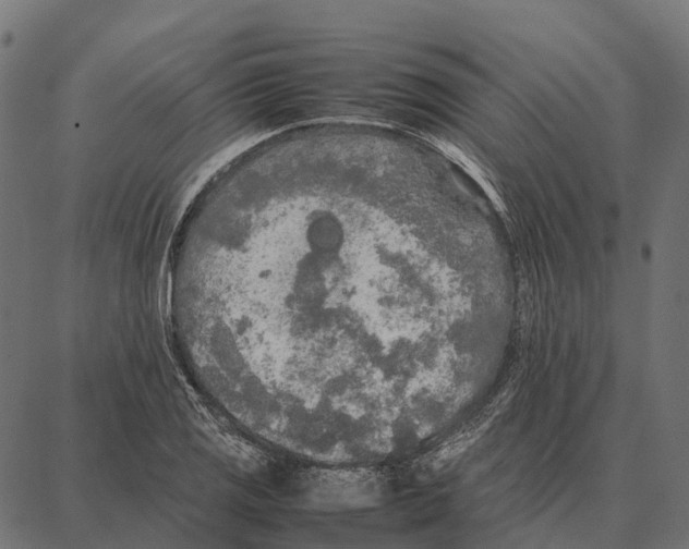 X0000087321125200705181004