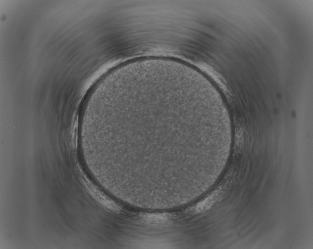 X0000087321126200705181004