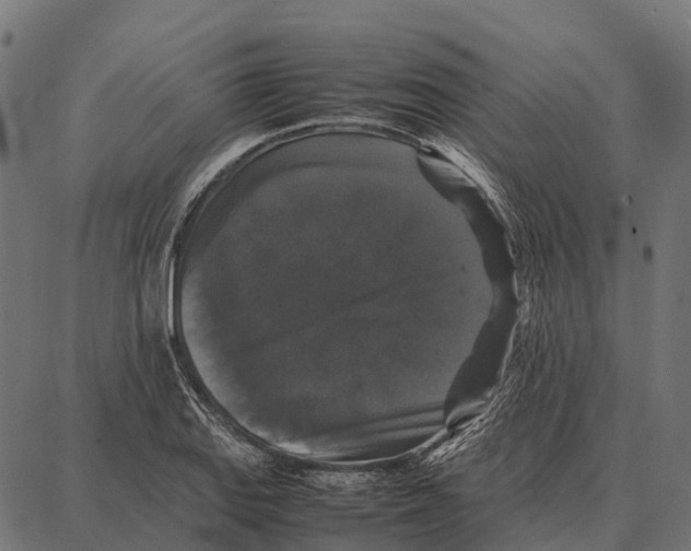 X0000087321127200705181004