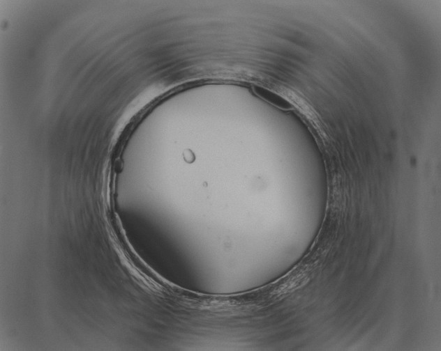 X0000087321128200705181004