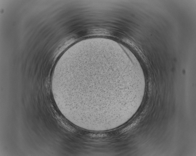 X0000087321129200705181004