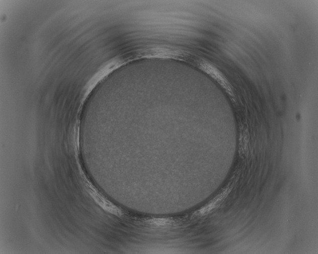 X0000087321130200705181004