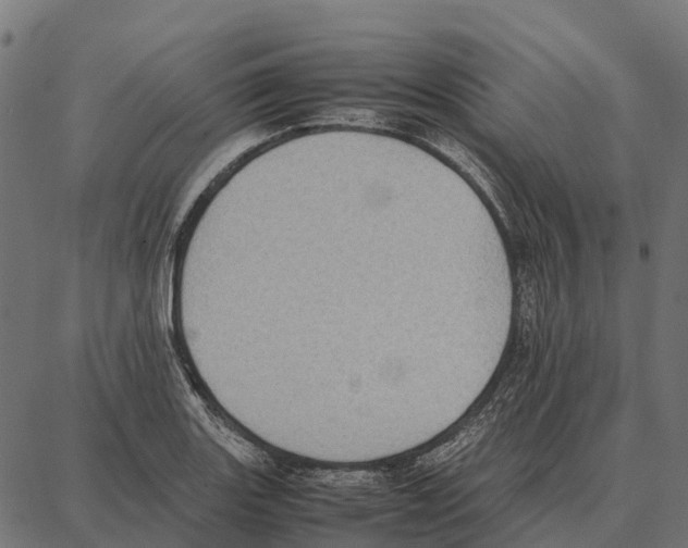 X0000087321131200705181004