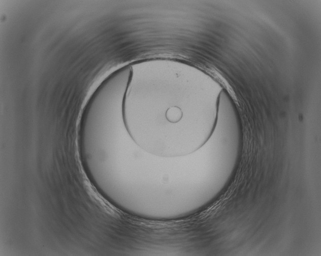 X0000087321132200705181004