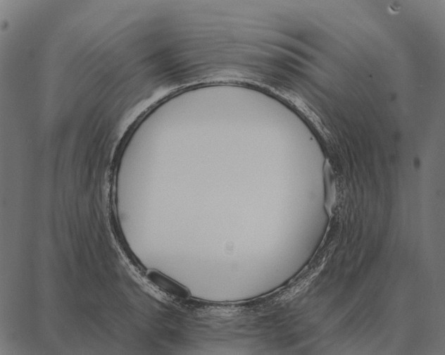 X0000087321134200705181004