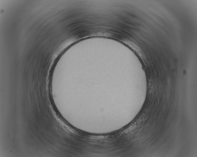 X0000087321135200705181004