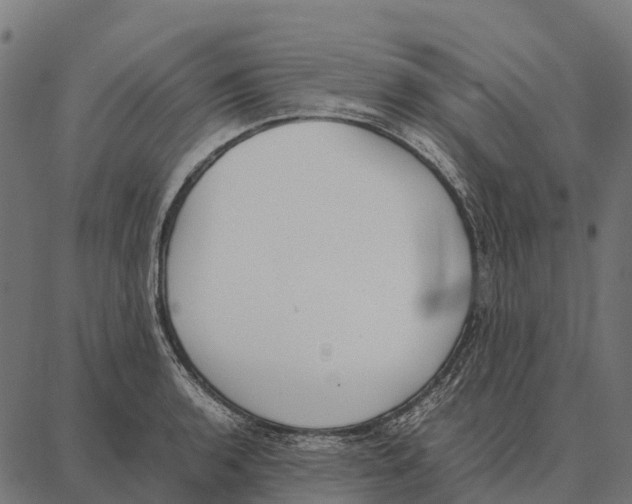 X0000087321136200705181004