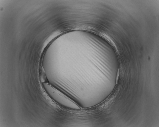 X0000087321138200705181004