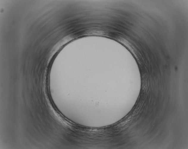 X0000087321139200705181004