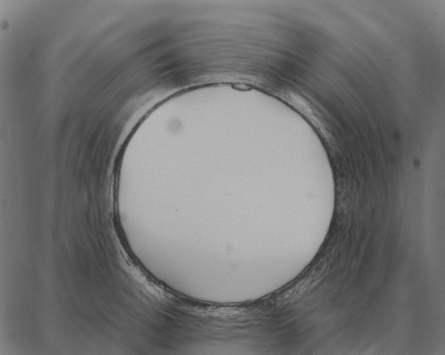 X0000087321140200705181004