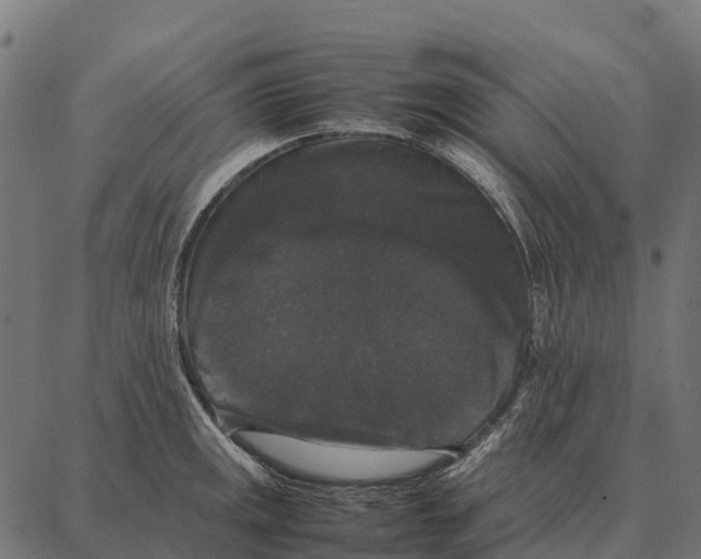 X0000087321141200705181004