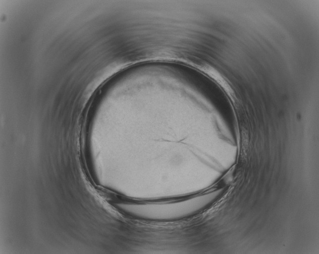 X0000087321142200705181004