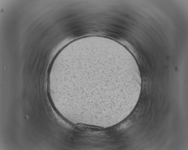 X0000087321143200705181004