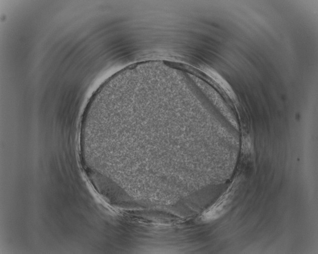 X0000087321144200705181004