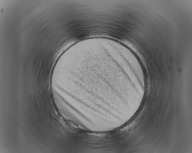 X0000087321145200705181004